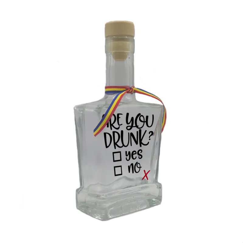 Are you drunk, sticla cu mesaj plata, 500 ml, model divgs179 01